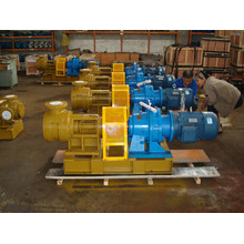 Nyp160 High Viscosity Internal Gear Pump for Molasses